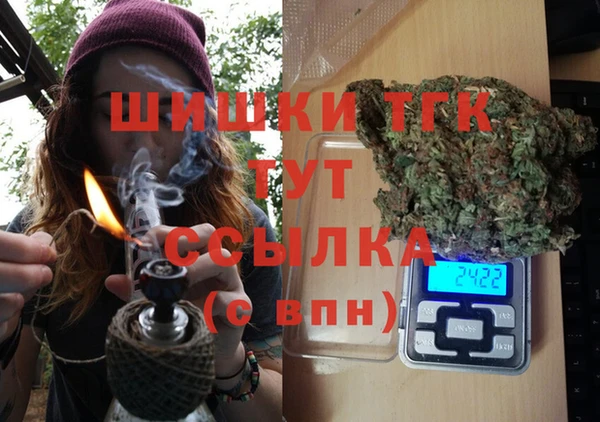 крисы Кодинск
