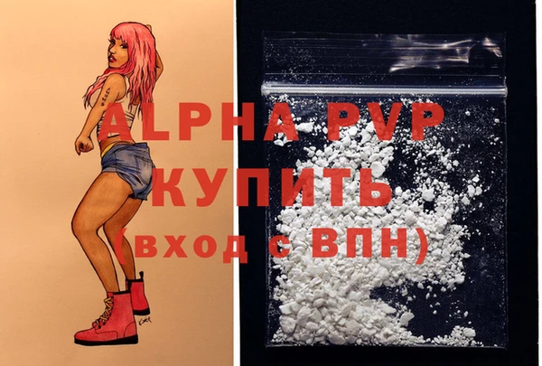 крисы Кодинск