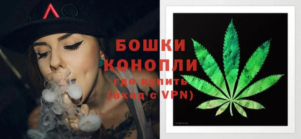 крисы Кодинск