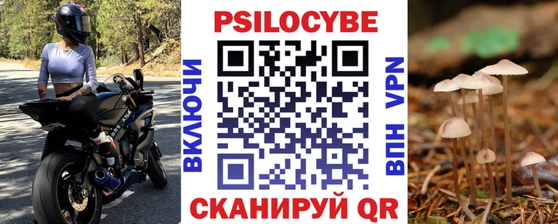Псилоцибиновые грибы GOLDEN TEACHER  Купить закладки  Североморск 